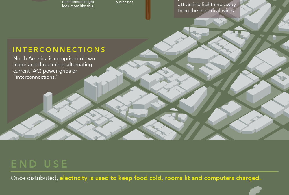 Understanding the Power Grid [Infographic]