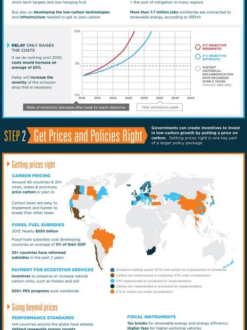 The Carbon Neutral Future